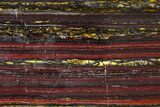 Polished Tiger Iron Stromatolite Slab - Billion Years #317910-1